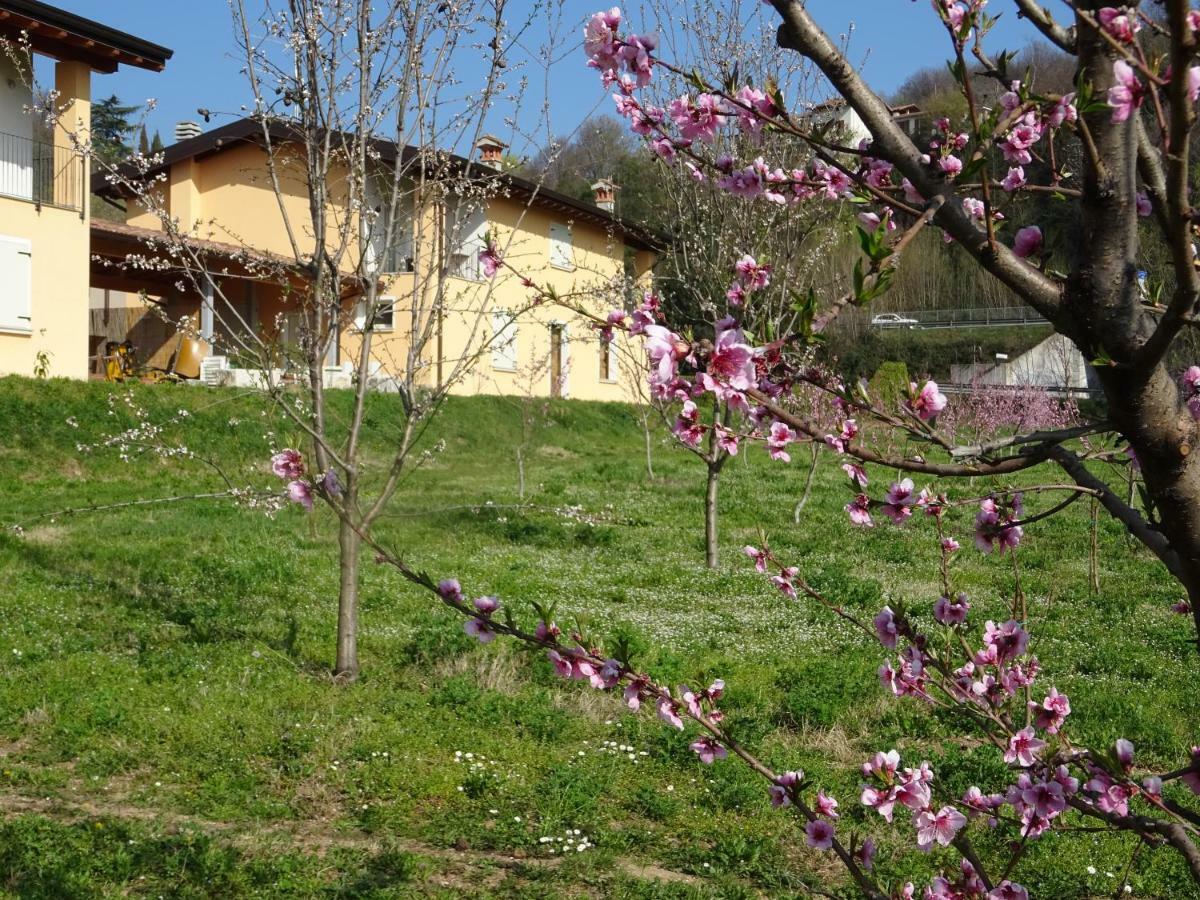 CASCINA LEGNAGO near Garda lake - bilocale Villanuova sul clisi Esterno foto